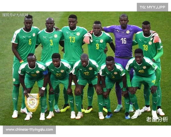 世预赛非洲区竞争白热化加蓬喀麦隆尼日利亚提前晋级仅剩一席待定 世预赛非洲区竞争白热化加蓬喀麦隆尼日利亚提前晋级仅剩一席待定